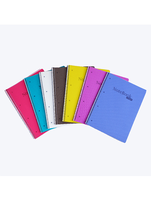 RT-20041 single wire notebook for Europe 