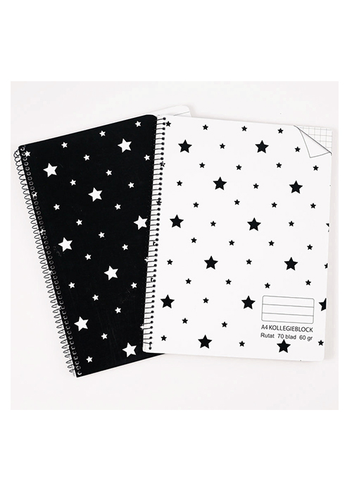 RT-20036 white card spiral notebook 